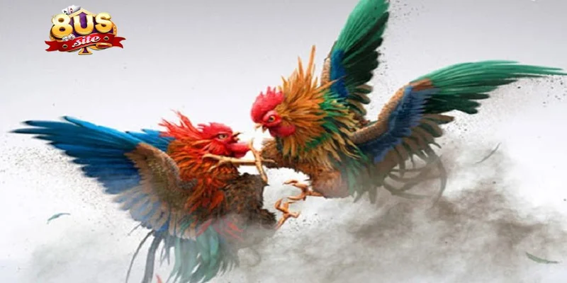 Những sai lầm cần tránh cách chơi đá gà online 8US